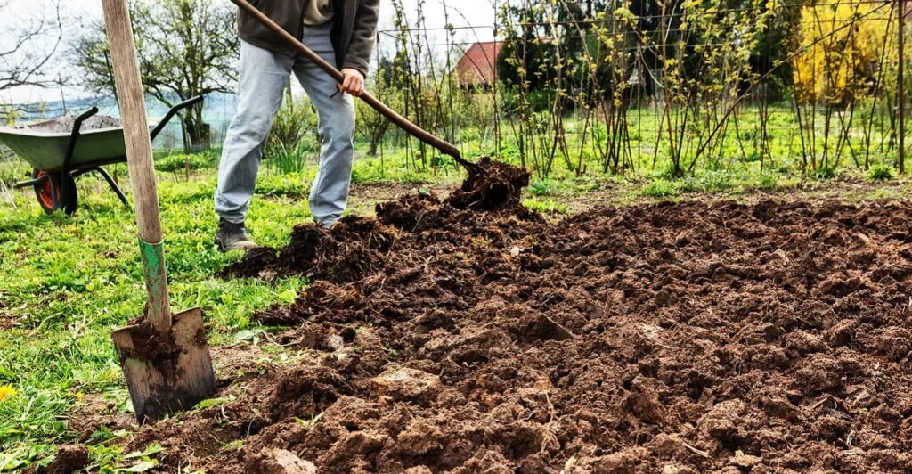 Gartenarbeit im Februar: Bodenbearbeitung