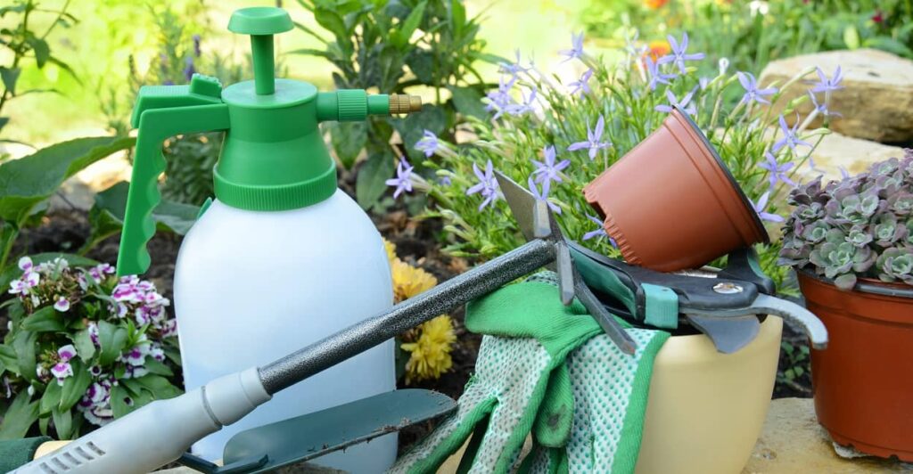 Gartenarbeit im Juni: u.a. Schädlingsbekämpfung mit natürlichen Mitteln