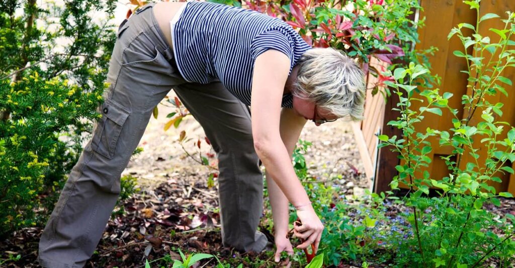 Rückenschonende Gartenarbeit