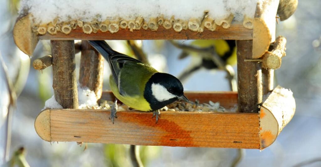 Vogelhaus im Winter im Garten